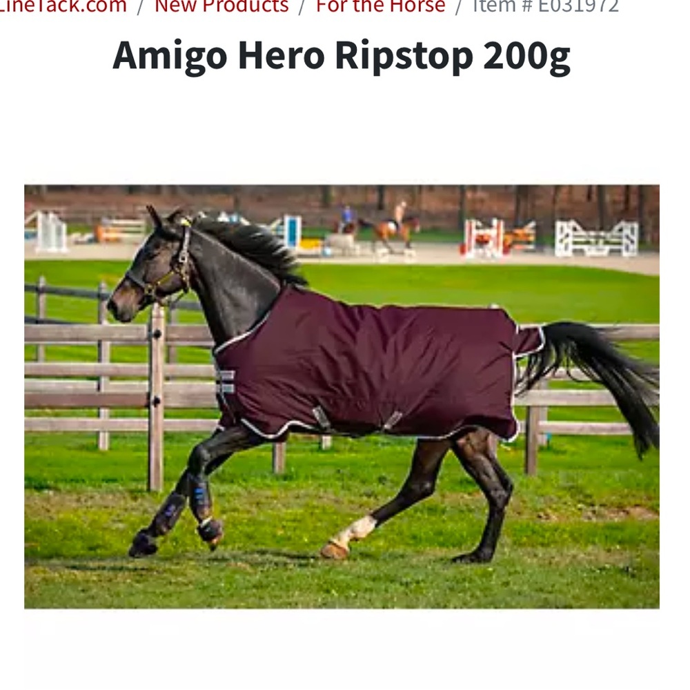 Amigo Horseware Medium Horse Blanket